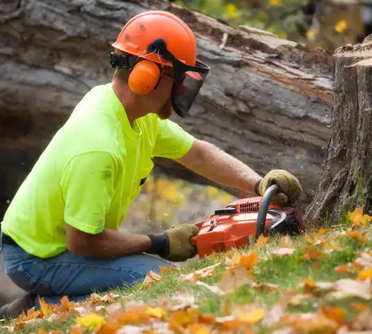 tree services Enfield